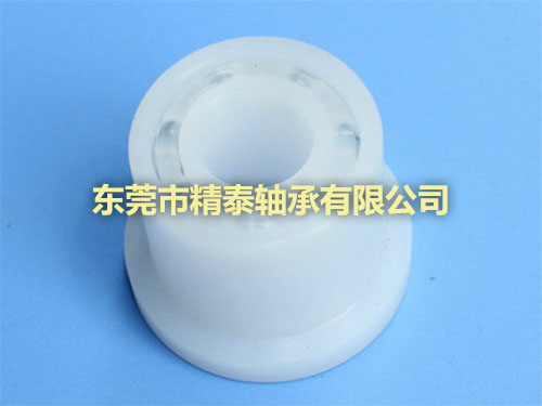 非标挡边塑料轴承
