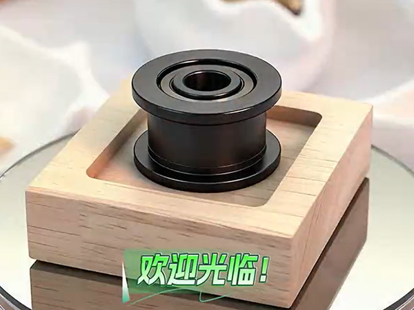 挡边塑料轴承视频